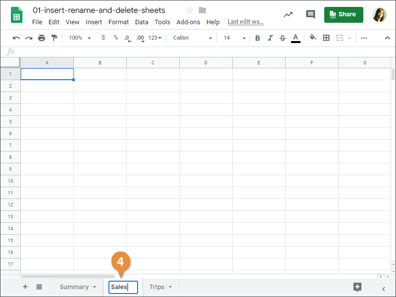 Insert, Rename, and Delete Sheets.
