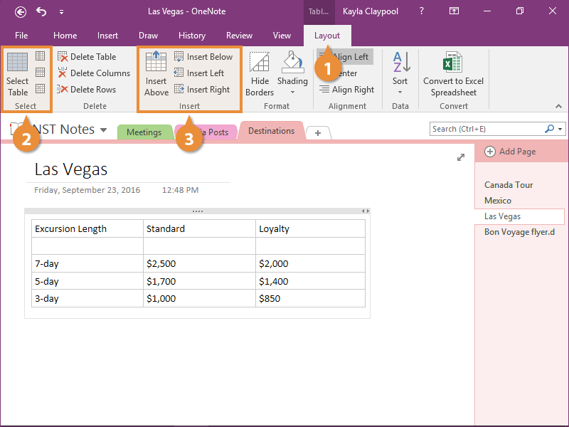 Insert Rows and Columns