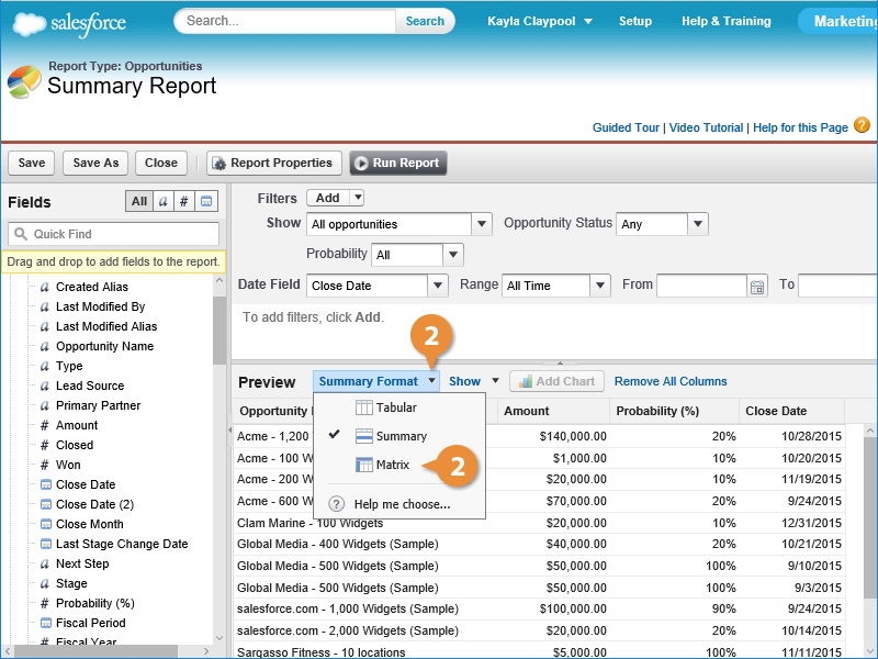 Create a Matrix Report