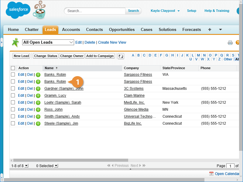 Merge Duplicate Leads