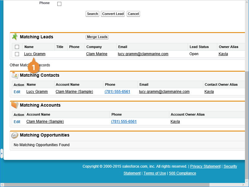 Merge Leads and Contacts