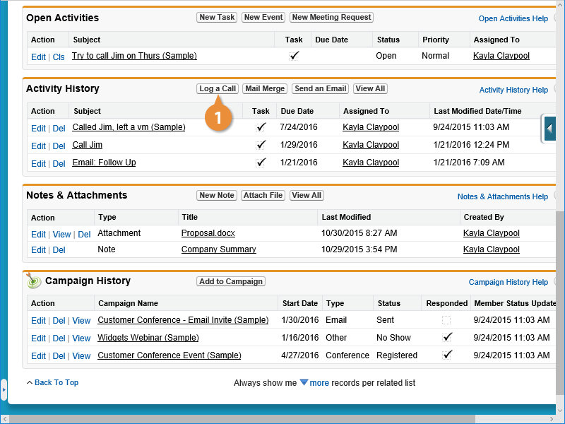 Log a Call or Activity