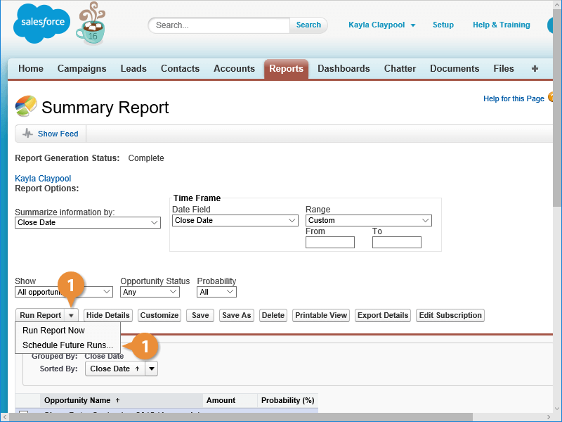 Edit or Remove a Report Schedule