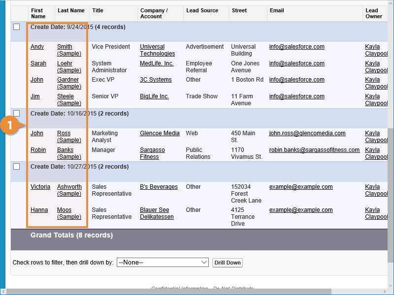 View a Record in a Report