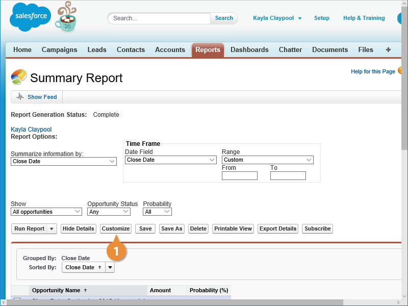 Add a Chart to a Report