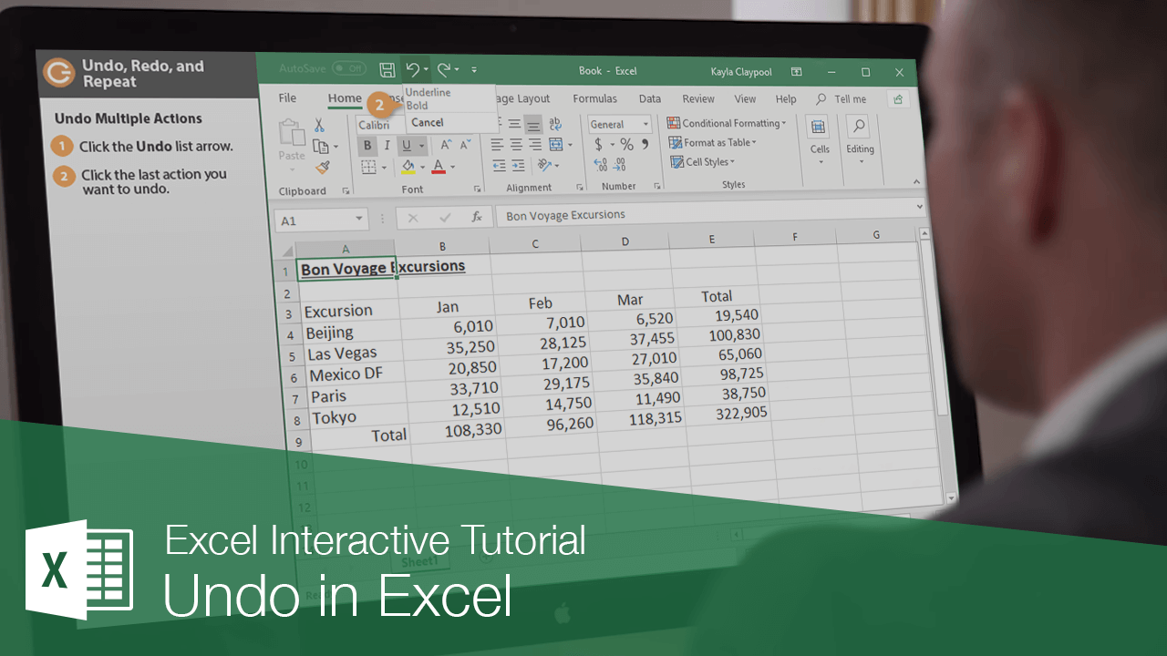 Undo in Excel