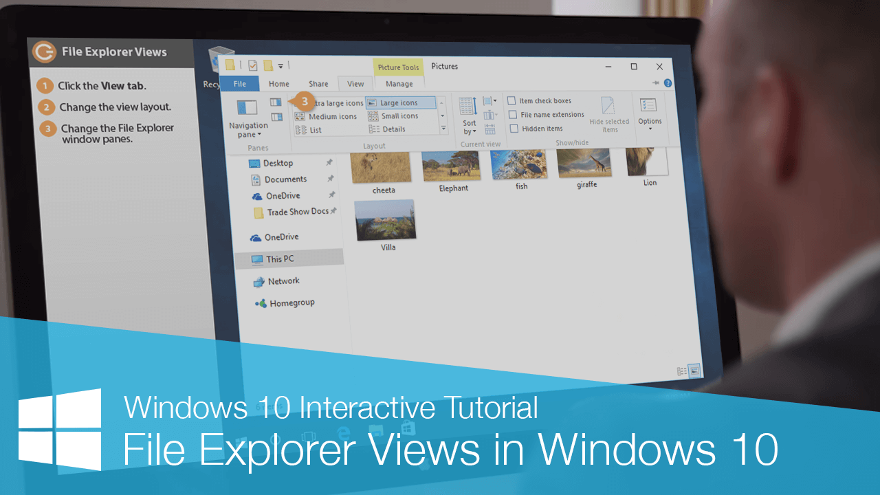 File Explorer Views in Windows 10