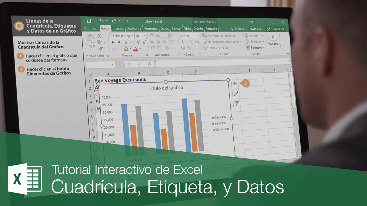 Cuadrículas, Etiquetas, y Datos de un Gráfico