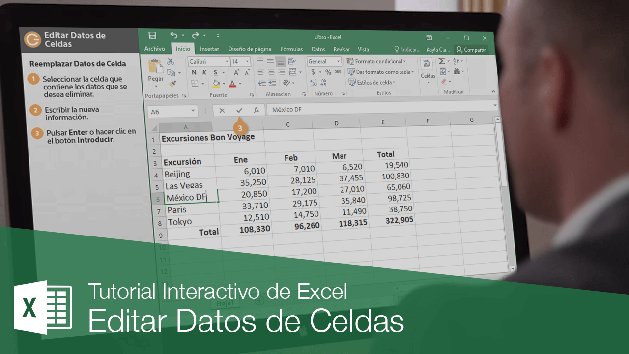 Editar Datos de Celdas